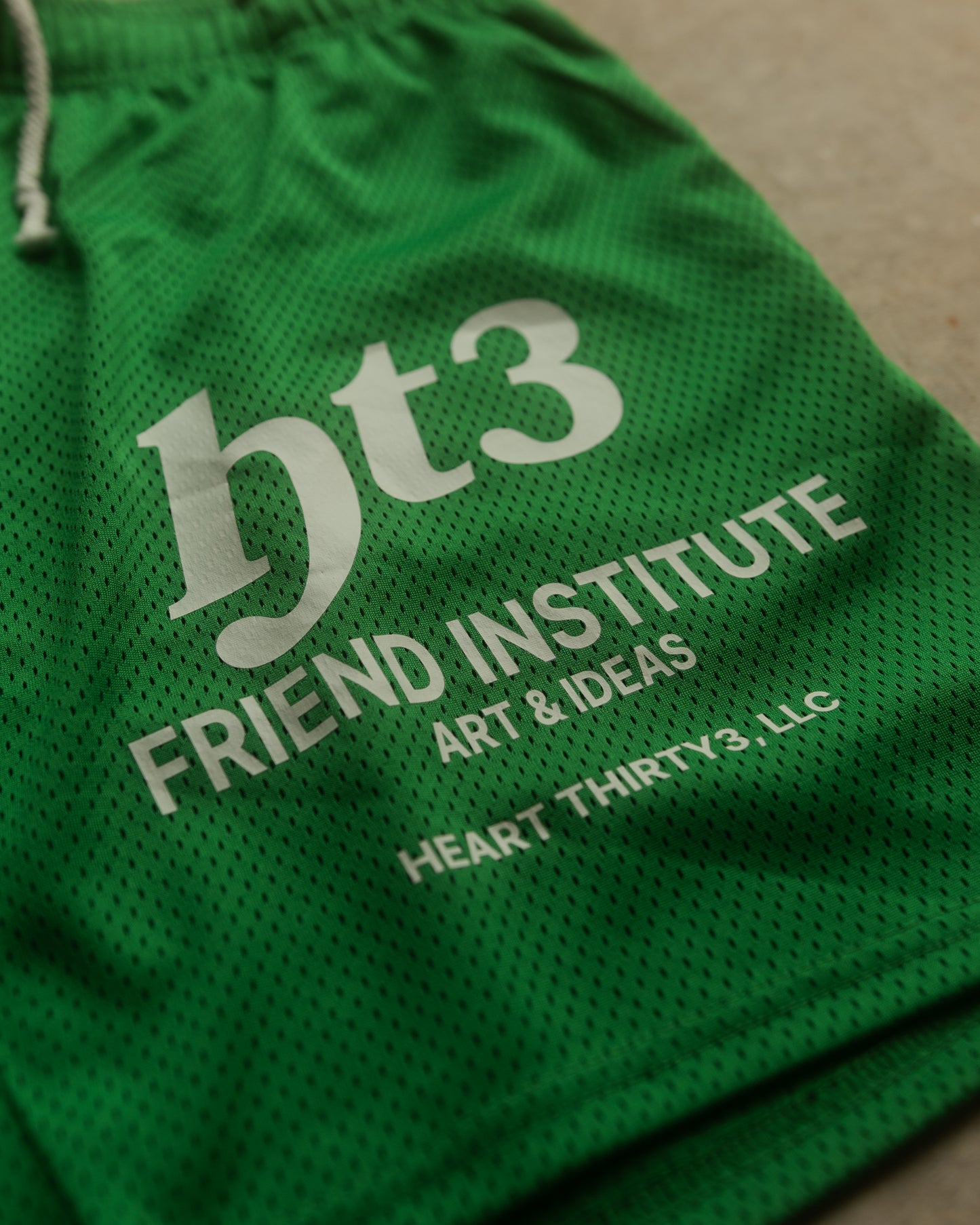 HT3 - Friend Institute Shorts